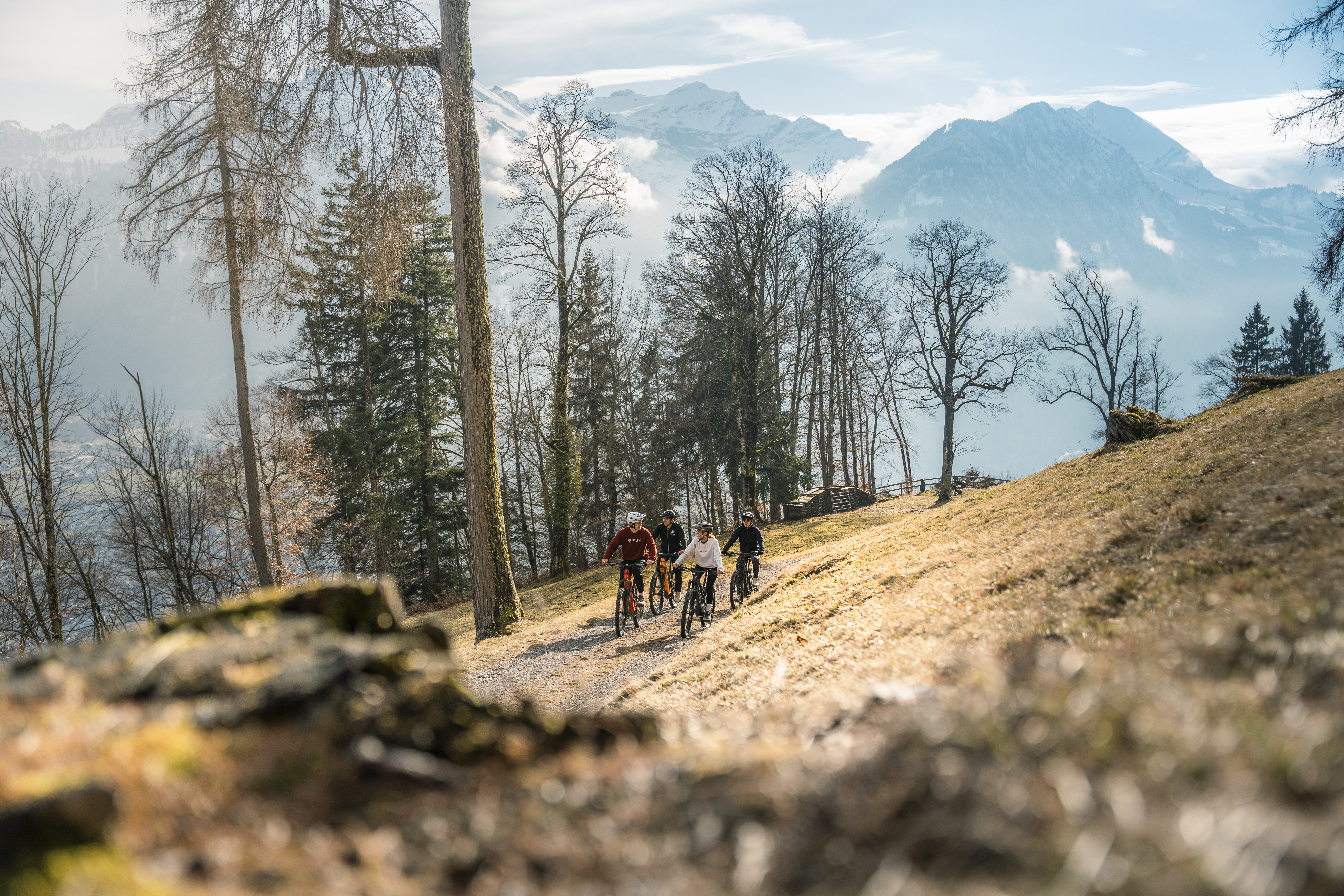 Join-In E-Bike Tour Lake-Tour Interlaken – Brienzersee – Ruine Wilderswil (Mo-Fr)